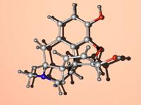 Model of Morphine